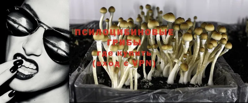 как найти закладки  ОМГ ОМГ зеркало  Галлюциногенные грибы MAGIC MUSHROOMS  Комсомольск-на-Амуре 